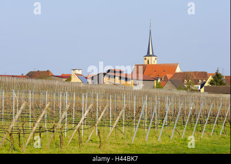 In Germania, in Baviera, Bassa Franconia, Sommerach, chiesa di San Eucherius, vigneto, dettaglio Foto Stock