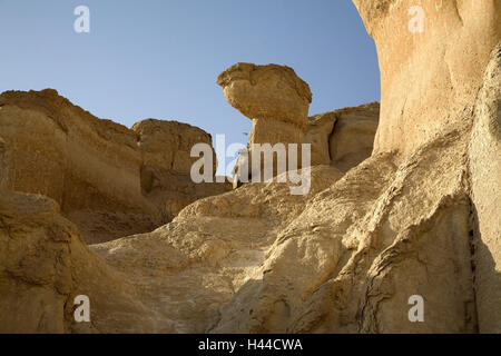 Arabia Saudita, provincia asch-Scharqiyya, Hofuf, principale luogo di Al Hasa oasi, Foto Stock