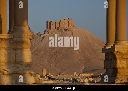 Siria, Palmyra, Tetrapylon, cittadella Qalaat Ibn Maan, luce della sera, Foto Stock