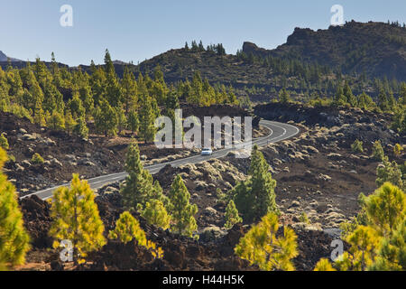 Spagna Isole Canarie, Tenerife, Pico del Teide, il parco nazionale del vulcano, pini, lava, street, auto, Foto Stock