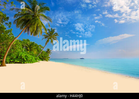 Tropical Maldive isola con spiaggia sabbiosa, palme, bungalow Overwater e tourquise acqua chiara Foto Stock