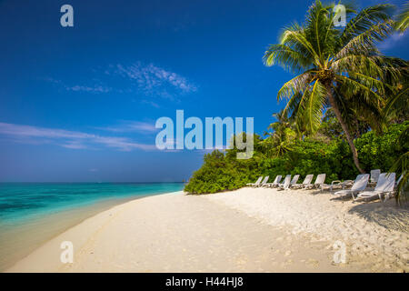 Tropical Maldive isola con spiaggia sabbiosa, palme, bungalow Overwater e tourquise acqua chiara Foto Stock