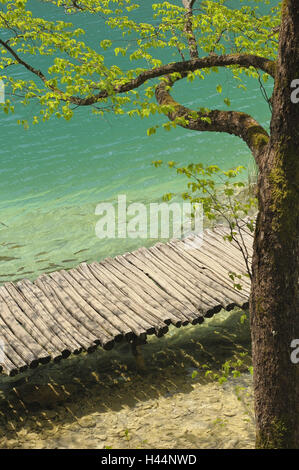 Parco nazionale dei laghi Plitvicer, bridge Lika-Senj Affitto, Croazia, Foto Stock