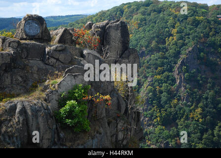 Germania, Sassonia-Anhalt, resina, Thale, Bodetal, strega's dance floor, Wächlerfelsen, lookout, Foto Stock