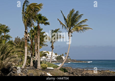 Spagna isole canarie Lanzarote, Puerto del Carmen, mare, Atlantico, palme, Foto Stock