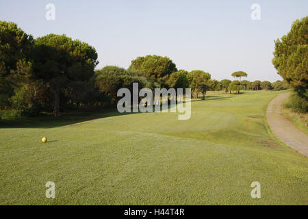 Turchia, Belek, campo da golf 'Pasha', vacanze, turismo, tempo libero, sport Golf sport, impianti impianto da golf e fondi erbosi, alberi, deserte, Foto Stock