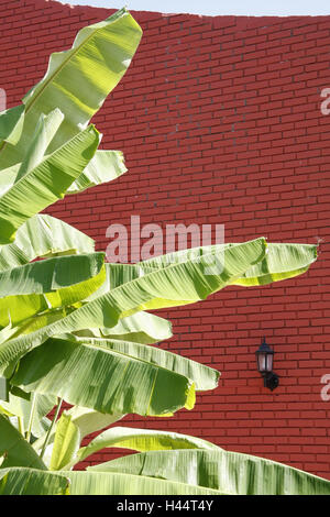 Murature in mattoni, rosso, foglie di banano, dettaglio, Turchia, Belek, hotel Magic Life, sirena Imperial, ristorante, destinazione destinazione di vacanza, vacanze, turismo, riposo e ricreazione, tempo libero, soleggiato, edilizia, architettura, rosso, banani, deserte, lampada, Foto Stock