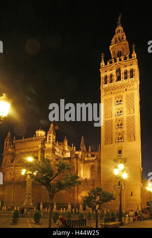 Spagna, Andalusia, Siviglia, cattedrale, Torre campanaria, notte, illuminazione, Europa, storico, centro citta', spazio Giralda, Steeple, landmark, tower building, minareto, architettura, luogo di interesse, maurisch, come di un Cristiano, Late-Gothic, plataresk, Rinascimento, Foto Stock