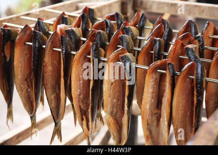 I Paesi Bassi, Noordholland, Enkhuizen, museo Zuiderzee, pesce affumicato, dettaglio Foto Stock