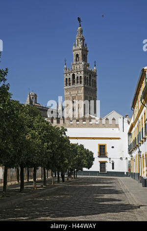 Spagna, Andalusia, Siviglia, cattedrale, Torre campanaria, l'Europa, la città, la Giralda, Steeple, landmark, tower building, minareto, architettura, luogo di interesse, maurisch, come di un Cristiano, Late-Gothic, plataresk, Rinascimento, turismo, Foto Stock