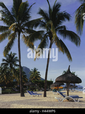 Maskarenen, isola Maurizio, Costa Ovest, Flic en Flac, spiaggia, palme, destinazione, cielo, vacanza, Palm Beach, turismo, riposo e ricreazione, sedie a sdraio, spiaggia dell'albergo, Foto Stock