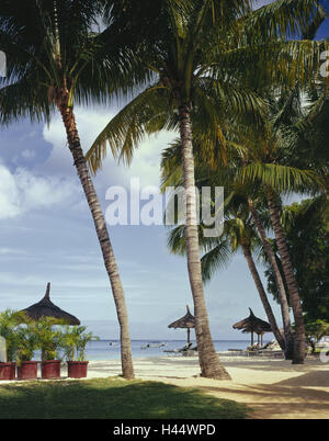 Maskarenen, isola Maurizio, Costa Ovest, Flic en Flac, Palm Beach, destinazione vacanze, turismo, piante, spiaggia sabbiosa, palme, ombrelloni, sedie a sdraio, mare, stivali, Foto Stock