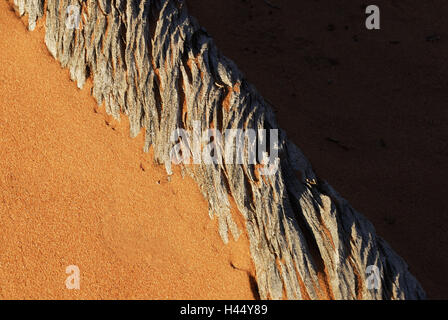 Di legno, sabbia, dalle intemperie, USA, Utah, archi parco nazionale, Foto Stock