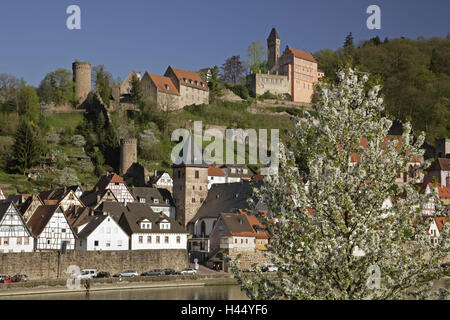 Germania, Baden-Württemberg, buckhorn sul fiume Neckar, townscape, castello Foto Stock