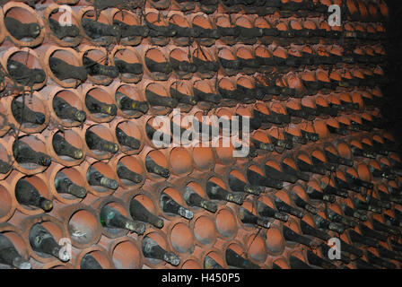 Cantina, bottiglie di vino vecchio, Foto Stock