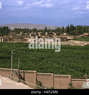 Cina, regione Sinkiang, Turpan, viticoltura, vigne, Asia Silk Road, Xinjiang, Turpan drain, "trincea d'uva", l'economia, l'agricoltura, area vitivinicola, pergola, piante piante utili, vino, vigne, vigne, sfondo case a secco, montagne, Foto Stock