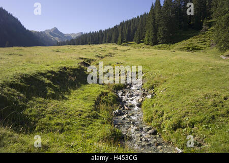 Austria, Montafon, paesaggio di montagna, Ruscello di montagna, Foto Stock