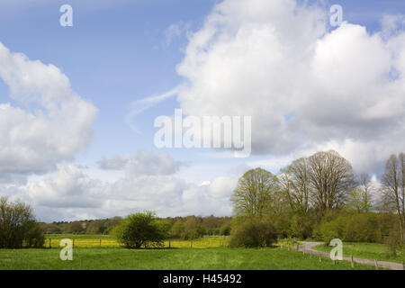 Belgio, Wallonie, Ardenne, Villers-Sainte-Gertrude, vicolo del paese, scenario, campi, Europa, prati, recinzione, alberi, arbusti, vegetazione, natura, modo, deserte, cielo nuvoloso, nuvole, cloudies, esterno, Foto Stock