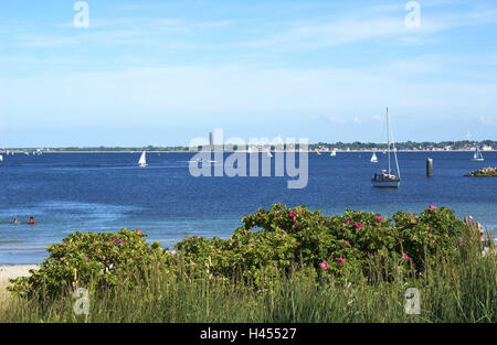 Germania, SCHLESWIG-HOLSTEIN, Kiel, Spiaggia, Vista, il Mar Baltico, stivali, marine monumento Laboe, Germania settentrionale, Laboe, dune, persone, surfisti, nuotare, dispongono di una vasca da bagno, vi navigare in internet, barche a vela, vele, arbusti, fiori, rosa, mulini a vento, monumento, monumento, navy, vista mare, vacanza, luogo di interesse, sole, Foto Stock