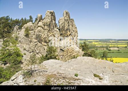 Germania, Sassonia-Anhalt, resinosi pedemontana, castello splendente, Timmenrode, devil's muraglia difensiva, bile formazione "cappotto di Amburgo armi", Foto Stock