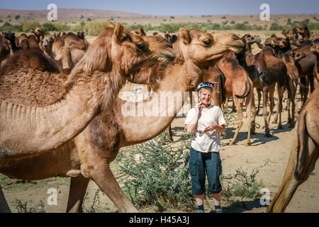Ciclista femmina sul lato della strada circondata da allevamento di cammelli, Rajasthan, India Foto Stock