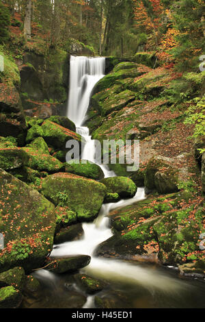 Cascata, cascate di Triberg, Foresta Nera, Baden-Württemberg, Germania, Foto Stock