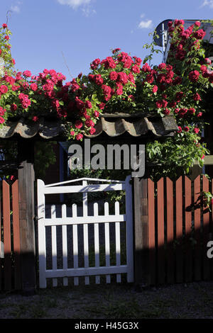 La Svezia, Trosa, garden gate, recinzione, rose, Foto Stock