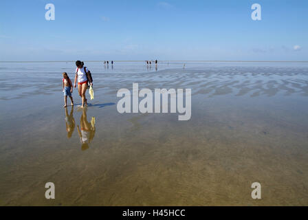 Germania, Schleswig-Holstein, Eiderstedt, Westerhever, il Wadden Sea, escursionisti, Foto Stock