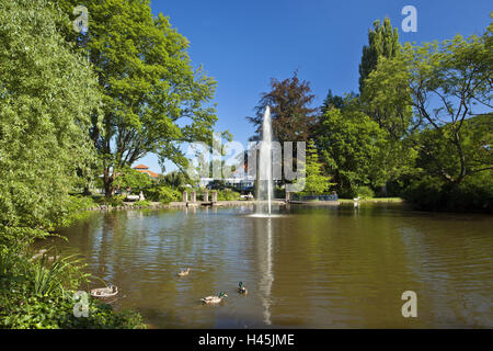 Assia, Assia settentrionale, Reinhardshausen, health resort park, stagno, Foto Stock