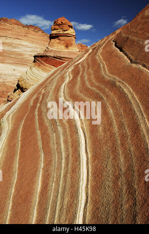 Onda, dettaglio, STATI UNITI D'AMERICA, Arizona, Utah, paria Canyon Vermillion Cliffs Wilderness, arenaria, Foto Stock