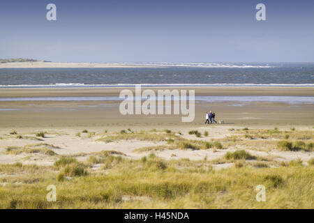 Germania, Bassa Sassonia, isola di Langeoog, spiaggia, passeggino, Foto Stock