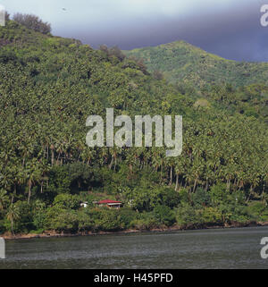 Polinesia francese, Nuku Hiva, Baia Tu Taipivai, costa, casa residenziale, paesaggi costieri, legno, vegetazione, casa, costruendo, isolamento, solitudine, idillio, destinazione, turismo, Foto Stock