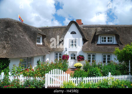 Germania, Schleswig-Holstein, isola di Amrum, Nebel, con tetto di paglia casa, giardino, estate, Foto Stock