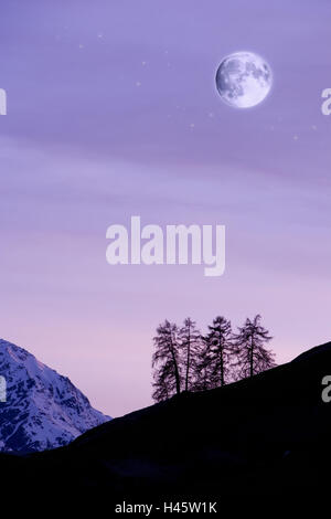 La Svizzera, Grigioni, all'Engadina Bassa Engadina, Ftan, panorama di montagna, atmosfera serale, luna piena, Foto Stock