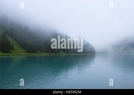 La Svizzera, Grigioni, Prättigau, Arosa, serbatoio, nebbia mattutina, Foto Stock