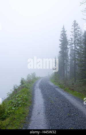 La Svizzera, Grigioni, Prättigau, Arosa, serbatoio, nebbia umore, Hiking trail, Foto Stock