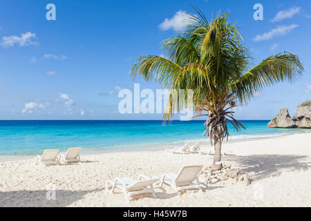 Lettini sotto il palm tree al Tropical Beach Foto Stock