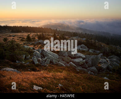 Nebbia patch, Brocken, Atmosfera mattutina, Sassonia-Anhalt, Germania, Foto Stock