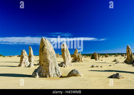 I pinnacoli (Nambung National Park) nei pressi di Cervantes, Western Australia. Foto Stock