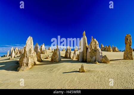 Nel tardo pomeriggio le ombre a pinnacoli (Nambung National Park) nei pressi di Cervantes, Australia occidentale Foto Stock