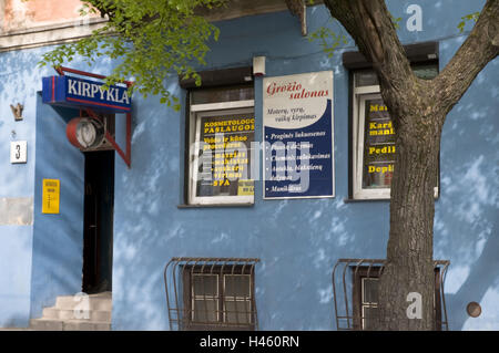 La Lituania, Vilnius, città vecchia, Sodu Gatve, shop, albero, dettaglio Foto Stock