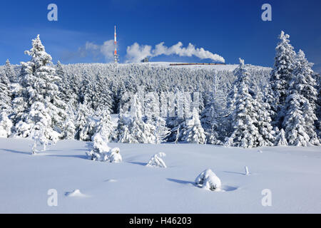 Germania, Sassonia-Anhalt, Parco Nazionale di Harz, paesaggio invernale, grumo di traiettoria, Foto Stock