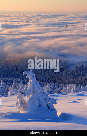 Germania, Sassonia-Anhalt, Parco Nazionale di Harz, alba sul grumo, inverno, Foto Stock