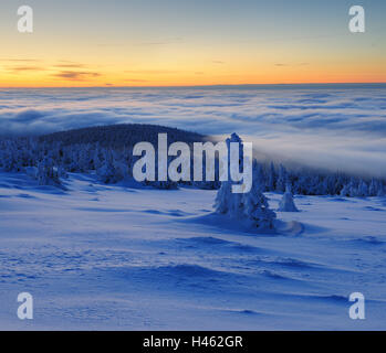 Germania, Sassonia-Anhalt, Parco Nazionale di Harz, alba sul Brocken, inverno, Foto Stock