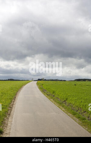 Belgio, Wallonie, Ardenne, Villers-Sainte-Gertrude, prati, country road, campi, Europa, vegetazione, natura deserta, cielo nuvoloso, nuvole, cloudies, cielo, grigio, fuori strada, asfalto, Foto Stock