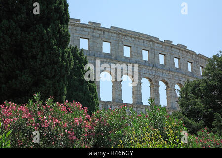 Croazia, Istria, Pola, arena, dettaglio, Europa, destinazione, città e luogo di interesse, la cultura, la struttura, architettura, prua, curve di pietra, archi a tutto sesto, storicamente il cielo privo di nuvole, alberi, arbusti, blossom, romano, Anfiteatro, Foto Stock