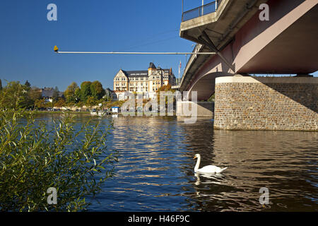 Germania, sul fiume Mosella, la valle della Mosella, Renania-Palatinato, Bernkastel-Kues, ponte della Mosella, swan, hotel tre re in background, Foto Stock