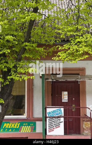 La Lituania, Vilnius, Città Vecchia, Sodu Gatve, business, albero, dettaglio Foto Stock