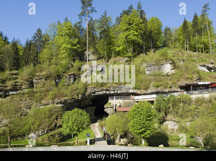 In Germania, in Baviera, Pottenstein, devil's pit pit, input, Nessuno, Franconia, pit, Tropfsteinhöle, show, pit pit input, ingresso, luogo di interesse, rock, alberi, natura, luogo di interesse, turismo, sole, Foto Stock