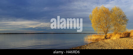 In Germania, in Baviera, Chiemsee, autunno sera vicino Übersee, Foto Stock